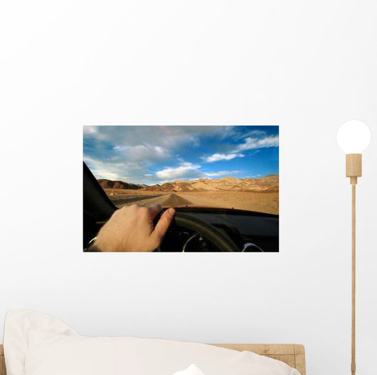 Death Valley Seen from Wall Decal