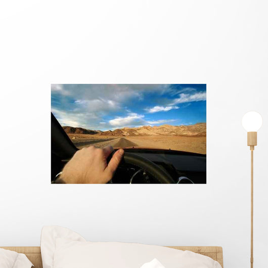 Death Valley Seen from Wall Decal