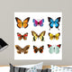 Butterflies photo-realistic vector set 
