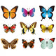 Butterflies photo-realistic vector set 
