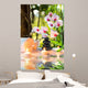 massage composition spa with candles, orchids, stones in garden Wall Mural