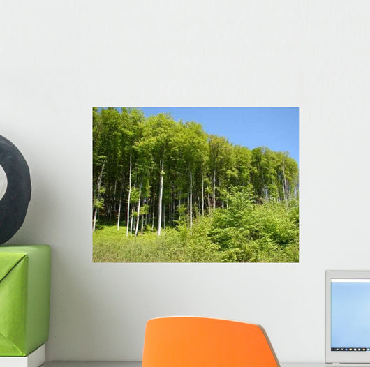 Edge Woods Wall Decal Design 1