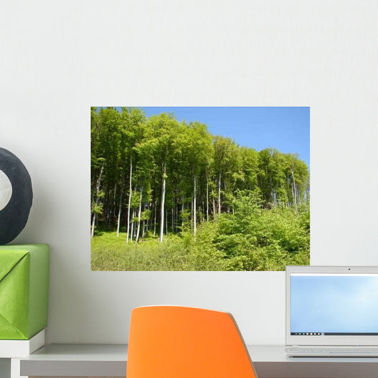 Edge Woods Wall Decal Design 1