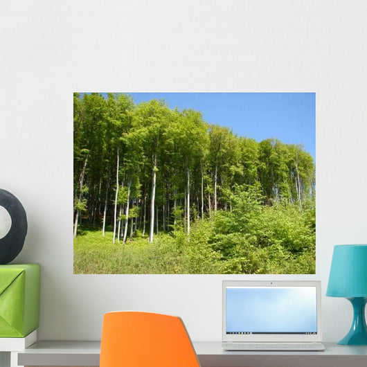 Edge Woods Wall Decal Design 1