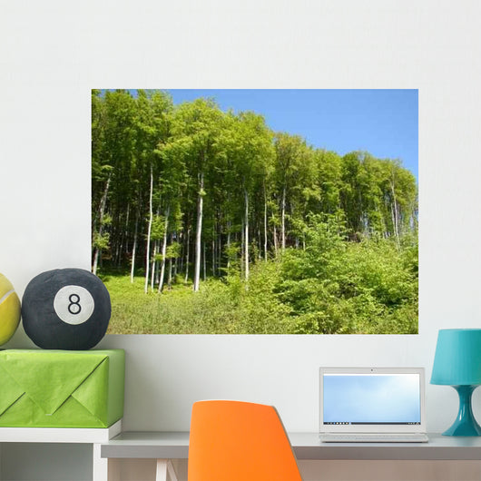 Edge Woods Wall Decal Design 1