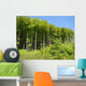 Edge Woods Wall Decal Design 1
