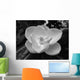 Magnolia Blossom Wall Mural