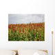 Sorghum Field Wall Decal