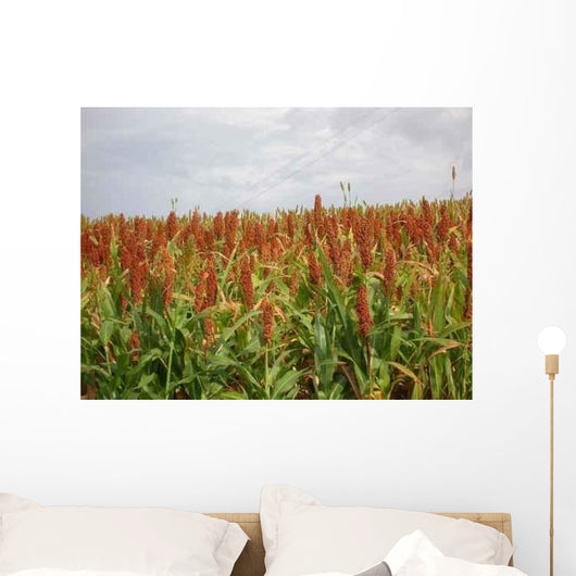Sorghum Field Wall Decal