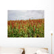 Sorghum Field Wall Decal