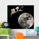 A Cow Jumping Over the Moon Wall Mural