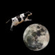 A Cow Jumping Over the Moon Wall Mural