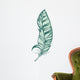 Feather Wall Decal