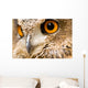 Eagle Owl - Bird of Prey Wall Mural