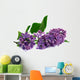 twig of lilac on white background 