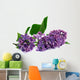 twig of lilac on white background 