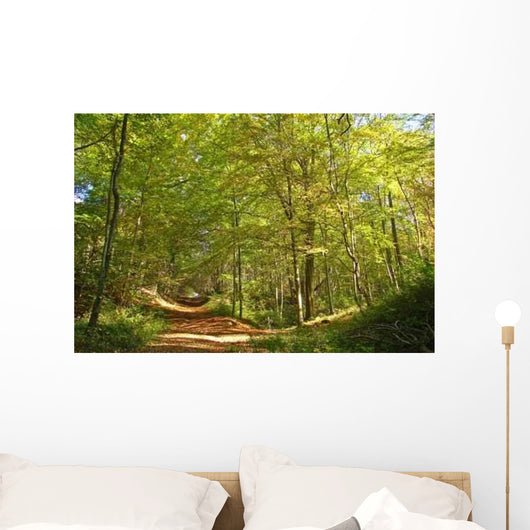 Forest St Gobain Wall Decal