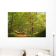 Forest St Gobain Wall Decal