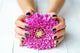 Hands with stylish dark manicure and pink flower 