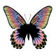 Beautiful Colorful Butterfly on White Background 