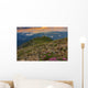 Majestic sunrise and flowers in the mountains,Bucegi,Romania Wall Mural