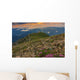 Majestic sunrise and flowers in the mountains,Bucegi,Romania Wall Mural