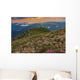Majestic sunrise and flowers in the mountains,Bucegi,Romania Wall Mural