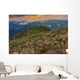 Majestic sunrise and flowers in the mountains,Bucegi,Romania Wall Mural