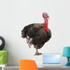 Turkey Wall Decal