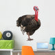 Turkey Wall Decal