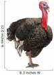 Turkey Wall Decal
