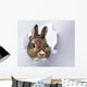 little rabbit looks through a hole in paper 