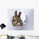 little rabbit looks through a hole in paper 