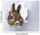 little rabbit looks through a hole in paper 
