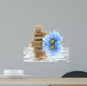 therapy stones with flowers isolated 