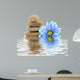 therapy stones with flowers isolated 
