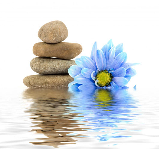 therapy stones with flowers isolated 