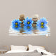 therapy stones with flowers isolated 