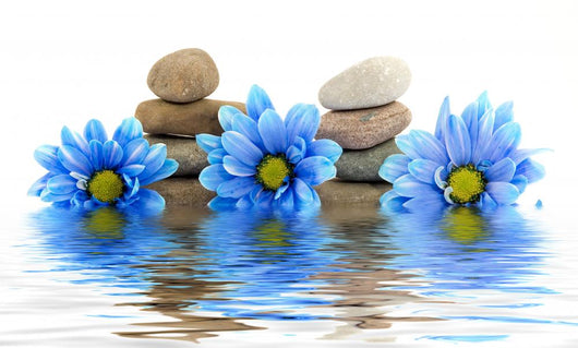 therapy stones with flowers isolated 