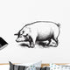 Swine Wall Decal