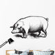 Swine Wall Decal