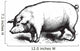 Swine Wall Decal