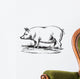 Swine Wall Decal