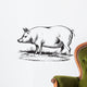 Swine Wall Decal