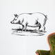 Swine Wall Decal