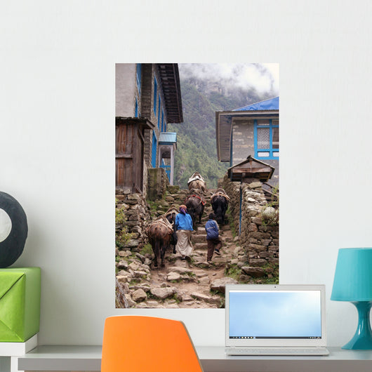 himalayan yak Wall Mural