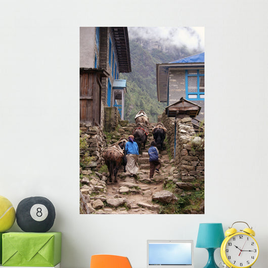 himalayan yak Wall Mural