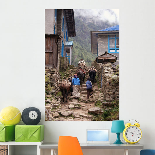 himalayan yak Wall Mural