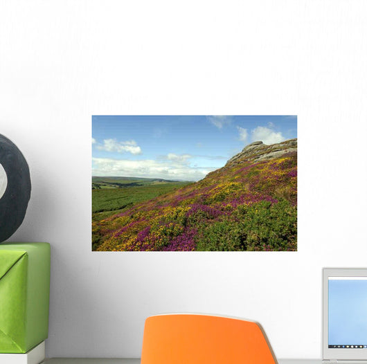 Haytor Rocks Dartmoor Covered Wall Decal