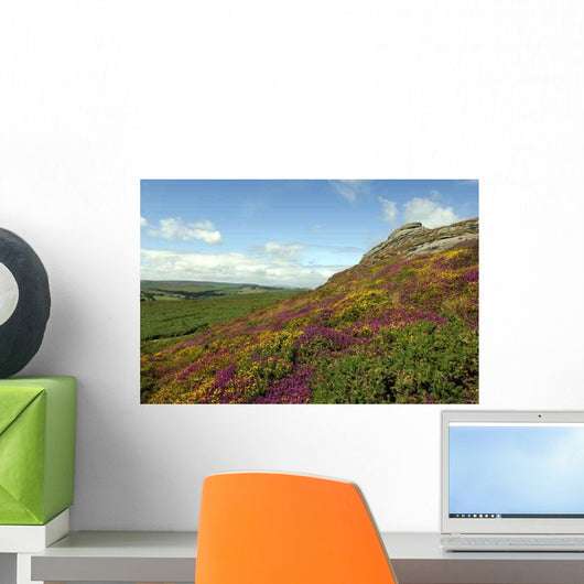 Haytor Rocks Dartmoor Covered Wall Decal